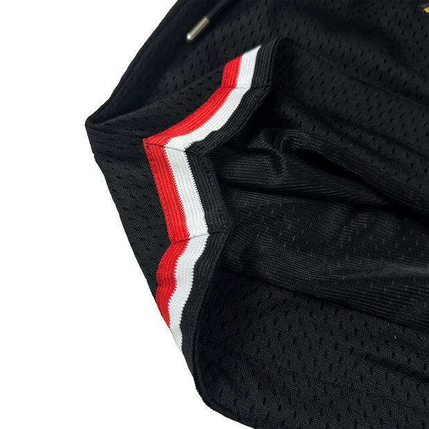 Egypt Heritage Basketball Shorts Closeups Embroidered Closeups