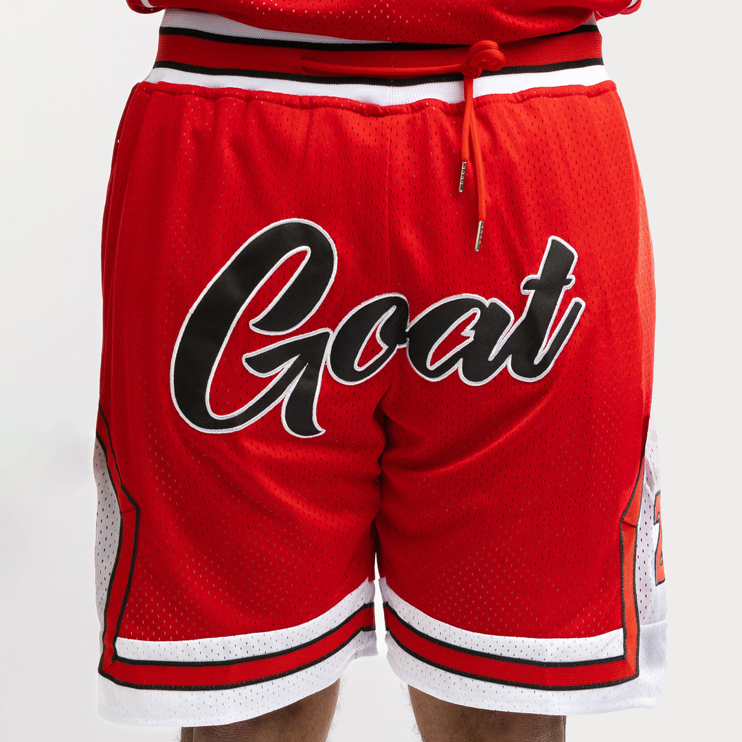 GOATBasketballMesh_23Shorts_10
