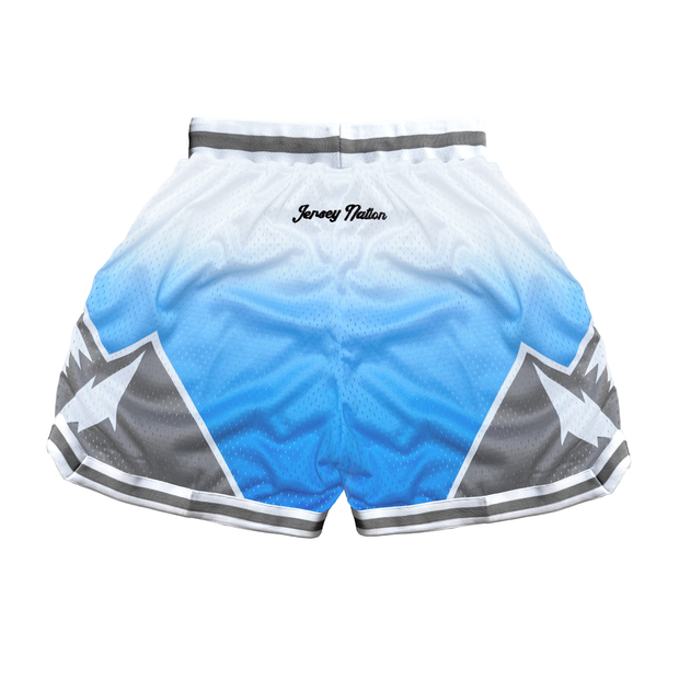 Ice Mountain Basketball Mesh Shorts